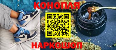 шишки Лесосибирск