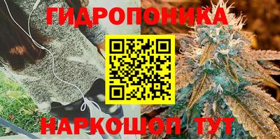 ГАЛЛЮЦИНОГЕННЫЕ ГРИБЫ Ливны