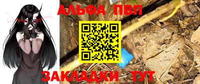 шишки Лесосибирск