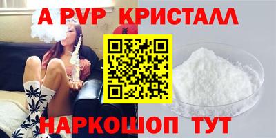 шишки Лесосибирск